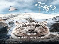 #电影雪豹#拍摄历时六年 这部电影如何记录雪豹点滴生活？