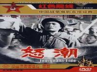 怒潮电影什么上映_怒潮电影在电影院播放吗