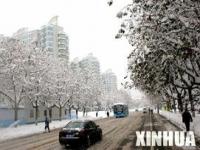 山东最吓人的暴雪_为什么烟台威海每年冬季都多暴雪