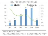 任泽平预测小米汽车_任泽平：未来新能源和AI智能产业，最大的机会在哪里？