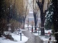 下雪想你了的撩人句子_下雪思念情人的句子