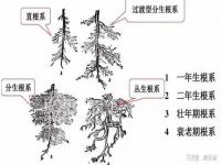 古风游戏名_星沉月落夜闻香是出自哪首宋词