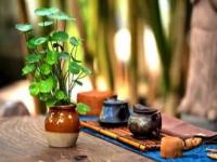 江苏人的喝茶是什么意思_南通人为什么管“喝茶”叫“吃茶”？