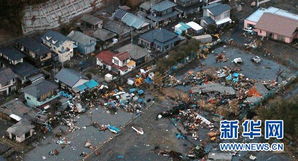 日本强震已造成30人死亡_日本强震已造成30人死亡