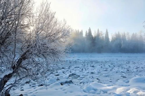 冬日喀纳斯仿佛冰雪秘境_冬季的喀纳斯