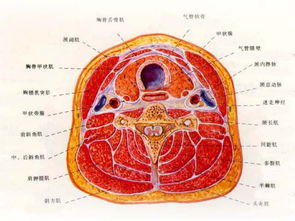 年轻人的结节都是被工作气出来的_最爱长结节的工作上热搜了，年轻人看见就气得翻白眼