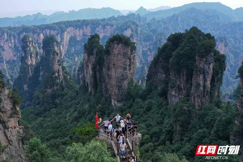 张家界武陵源区文旅局长否认出镜表演赶尸_张家界武陵源区文旅局长否认出镜表演“赶尸”：会用更有创意的方式去宣传