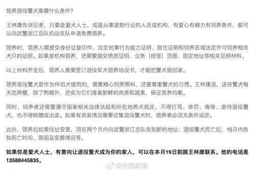 5只退役警犬寻找领养家庭_电话被打爆！浙江5条退役警犬找领养，参加过抢险救灾，见过大场面