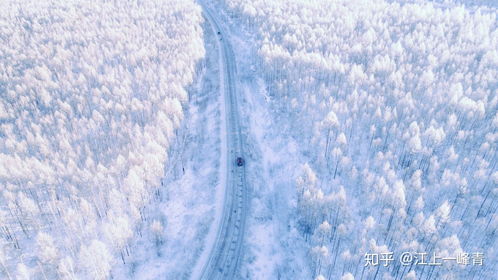 南方下的不是雪是壁纸_故宫雪景，绝美！全网都在等的高清壁纸来了