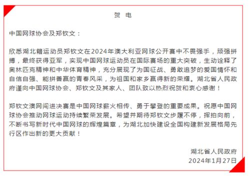 湖北省政府向中国网协和郑钦文致贺电_湖北省政府向中国网协和郑钦文致电祝贺