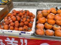中国南方生不生产土豆_为什么云贵川喜欢吃土豆