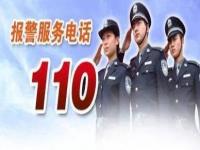 110代表什么含义_110的意思代表什么