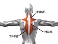 4个动作改善肩颈不适_宅家越久，肩颈酸痛越难忍！4个简单运动，让肩颈更舒服