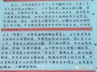 国考申论 怎么学的_公务员《申论》怎么学？看看75分老学姐分享实战经验