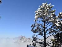 在成都除了排队看熊猫还能遥望雪山_蔡依林在成都与粉丝一起排队看熊猫