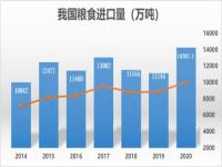 2020年我国累计进口大豆多少吨_我国每年从俄进口多少大豆