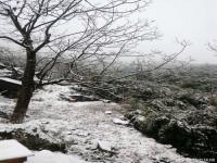 #浙江下雪了#下雪了！浙江宁波丽水等地已现积雪 影响出行