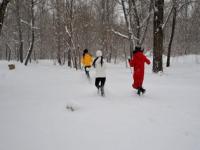 长沙最大的雪是哪一年_全国冰冻灾害是哪年