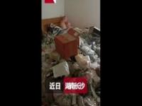 女租客退房留下私人物品怎么处理_自如退租墙面脏了要赔偿吗