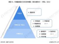 马斯克如何把芯片植入大脑_马斯克的脑机接口实现哪些功能