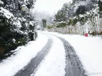 今年春节南方有大暴雪吗_2024年湖南会有暴雪吗