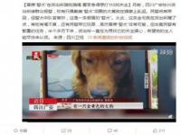 小猫误入派出所骗吃骗喝一个月_标题：小猫误入派出所，享受“拘留”待遇一月有余