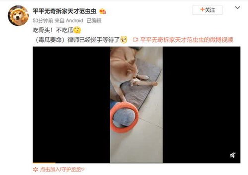 狗仔辟谣张小寒的瓜被买走_张小寒的瓜被买走？狗仔坚称：我的瓜无人敢购！