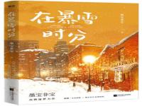 在暴雪时分SVIP_吴磊、赵今麦《在暴雪时分》发布追剧日历，会员首播连更7天