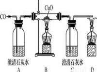 森林灭火器的工作原理_灭火器的基本原理和方法