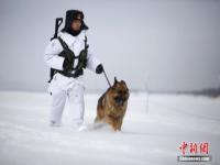 军犬在高过身体的雪中巡逻_最忠诚的战友：军犬陪边防战士雪中巡逻，仍不忘摆个帅气姿势