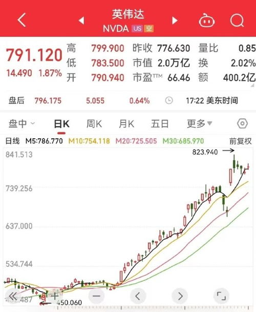 英伟达市值一夜涨超2600亿元_英伟达市值一夜涨超2600亿元：科技巨头的崛起与创新力量