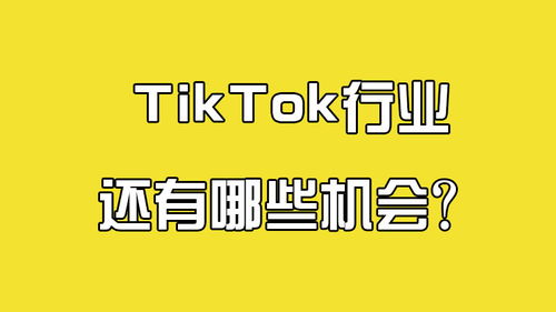 TikTok还有翻盘的机会吗_逼自己看完，TikTok如何逆风翻盘？