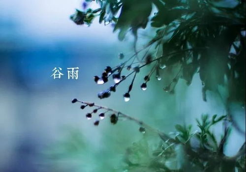 中医版24节气歌_中医24节气灸，时间表穴位图，针灸喜好者值得收藏