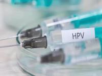 #HPV疫苗#女性健康杀手“HPV”以及预防用HPV疫苗介绍