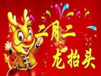 龙年龙抬头吉祥祝福_龙抬头春节对联