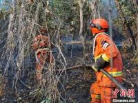 云南森林消防跨省增援雅江火场_云南森林消防750名指战员跨省增援四川甘孜雅江火场