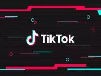 缅甸人玩tiktok吗_tik tok 日本十大网红