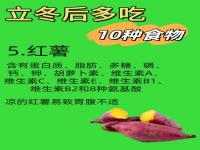 冬天里适合卖什么吃的_冬天喂蜜蜂吃什么食物