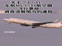 民航局通报321东航MU5735航空器飞行事故调查进展情况_民航局通报“3·21”东航MU5735航空器飞行事故调查进展情况