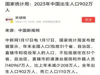 2023年上海一月份出生率_2023年中国人口增长了吗