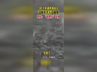 3男孩遇杂草起火先报警再灭火_@人民网：3名男孩遇杂草起火先报警再灭火