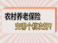 居民养老保险交哪个档次好_为什么好多人的手机都用外地号码