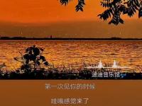 陈奕迅落花流水歌词含义_陈奕迅的《落花流水》讲了一个什么故事