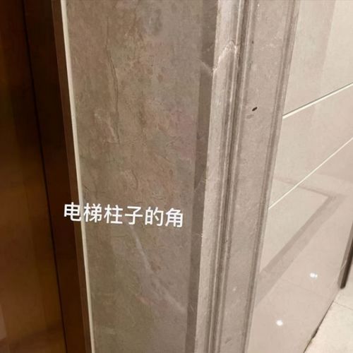 男子电梯内殴打女友被刑拘_警方通报：男子在电梯内殴打女友被刑拘