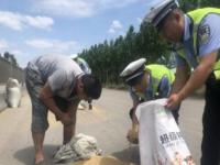 货物掉落少年冒雨来回多次帮清理_大货车货物散落一地，辅警与环卫工冒雨清理