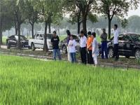 种地吧 抢大米_种地吧抢大米，黄牛倒卖粮食，粉丝当韭菜？