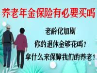 养老保险里有职业年金好还是没有好_支付宝终身养老保险值不值得买