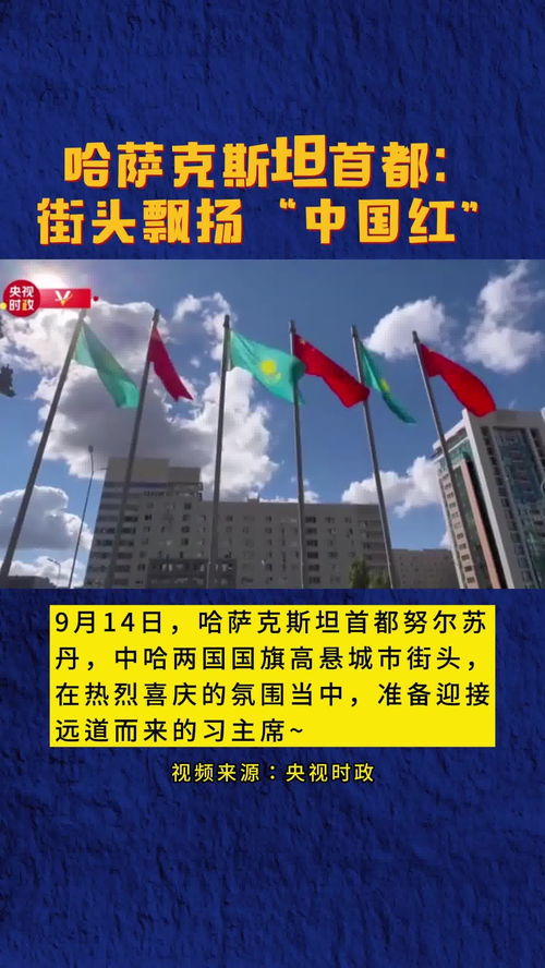 塞尔维亚首都街头飘扬中国红_塞尔维亚首都街头飘扬中国国旗，武契奇激动不已：喜悦难以言表，