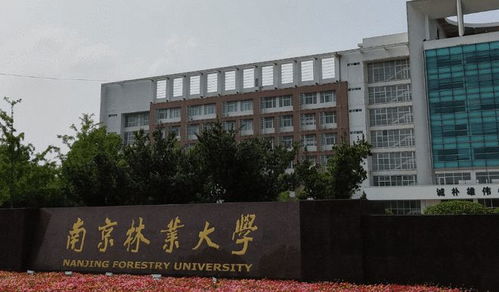 南京林业大学称宋凯未被降职_南京林业大学一副教授因被降职而自杀？人事处：已去世，未被降职