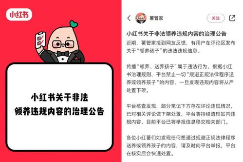 小红书回应平台可领养孩子_小红书回应平台可领养孩子：属违法行为，已下架清理并举报